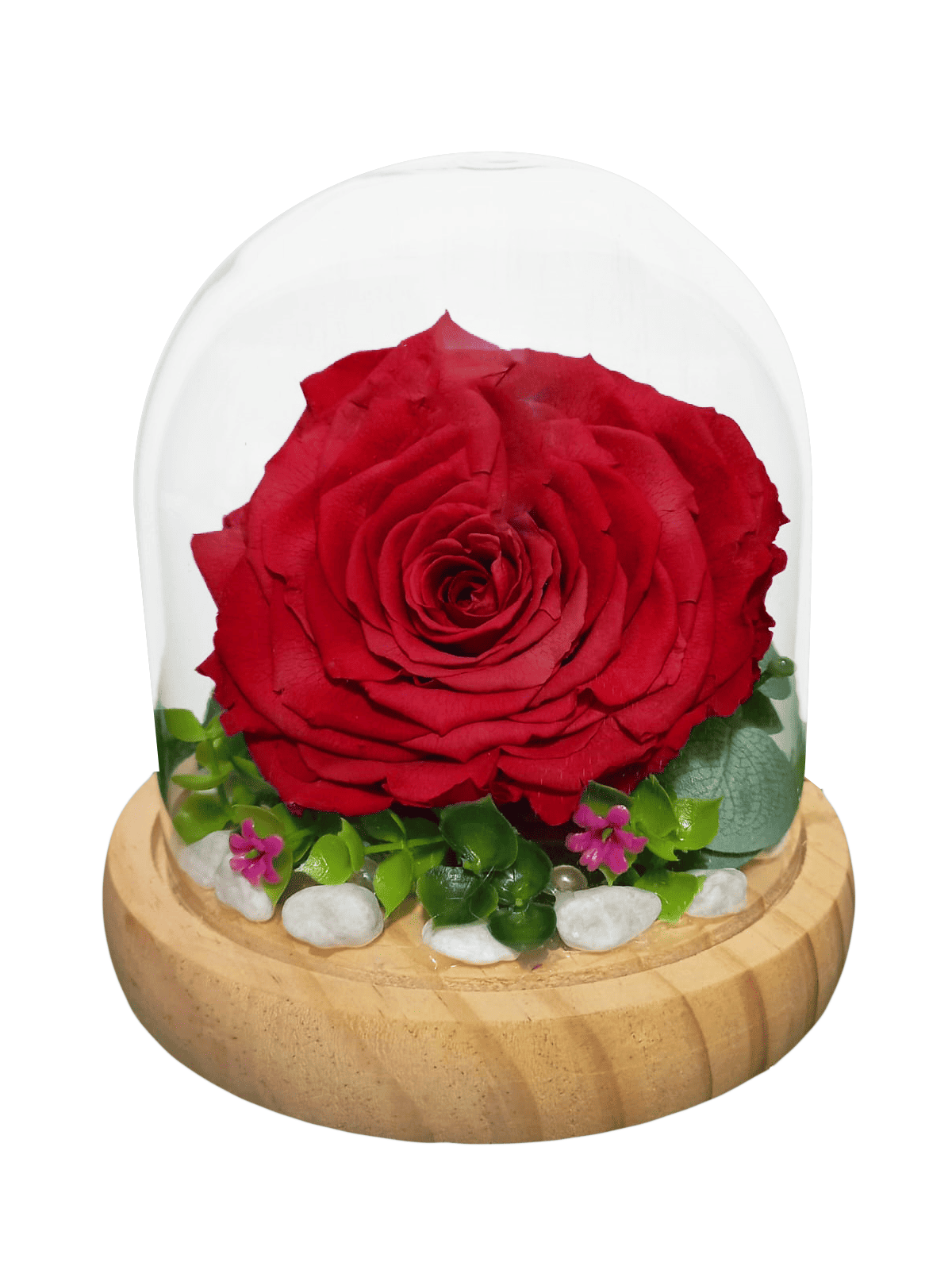 Rosa preservada 3 – Rosa Grande en Domo Decorada
