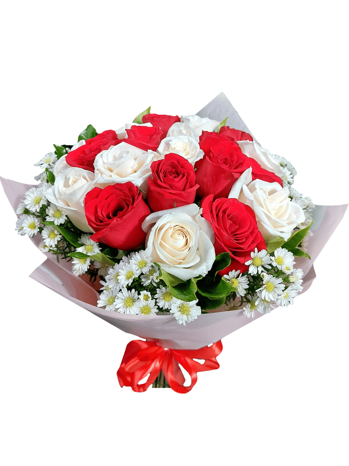 RM-04 Ramo de 24 rosas blancas y rojas con complemento blanco