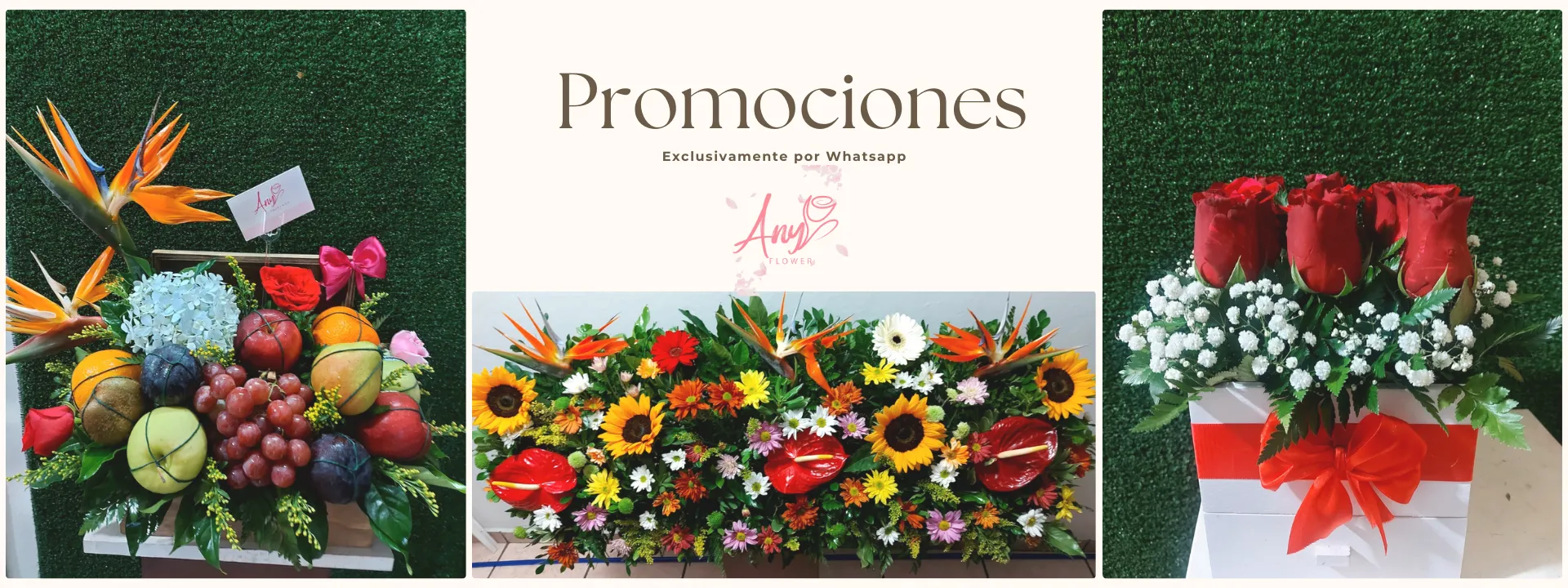 Promociones Wa 2